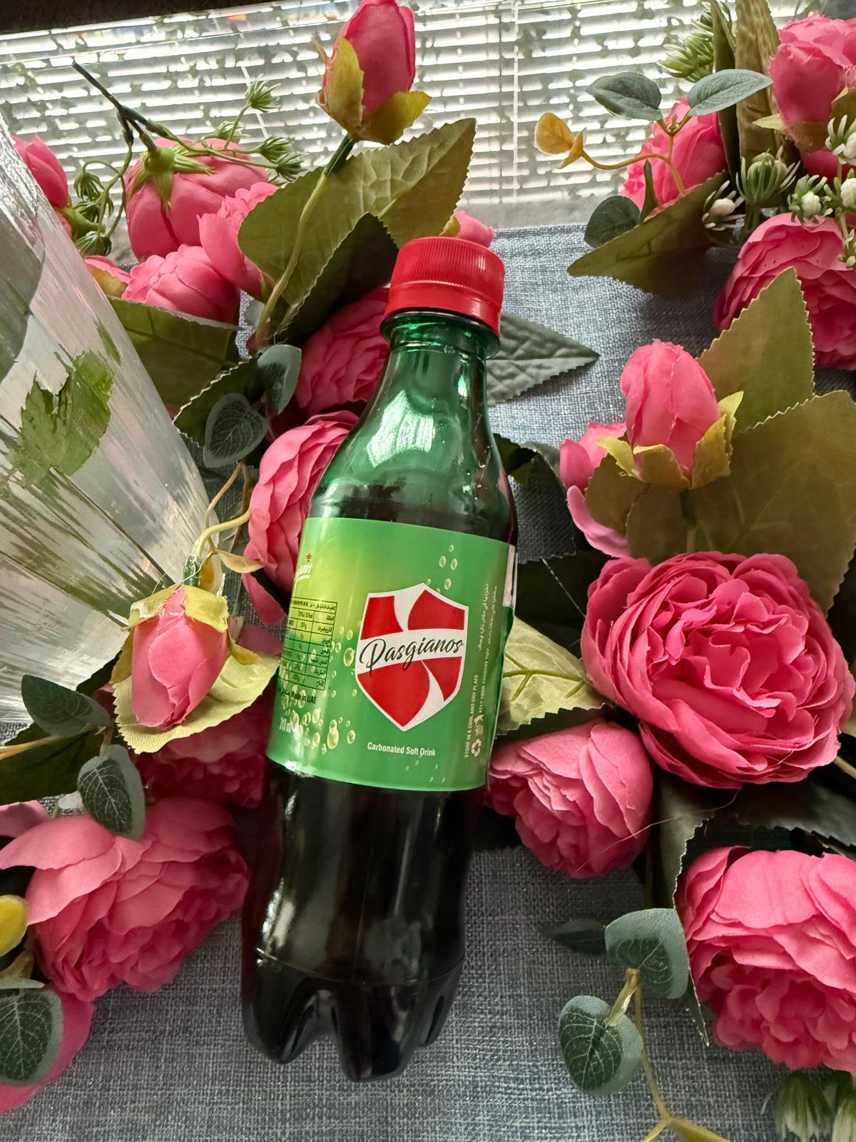 Pasgianos Soft Drink – Pack of 24 Bottles (330ml)