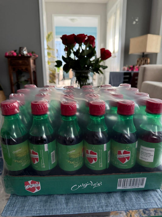 Pasgianos Soft Drink – Pack of 24 Bottles (330ml)